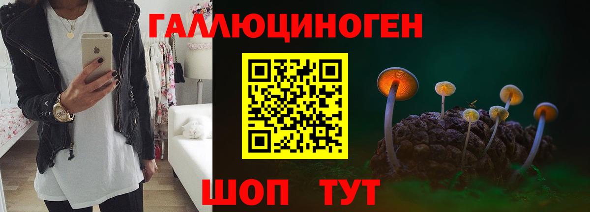 Муром  Галлюциногенные грибы GOLDEN TEACHER  Вход с VPN 